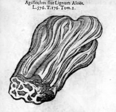 Lignum aloe