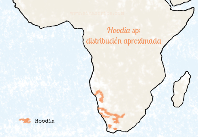Hoodia distribution Africa biodiversity