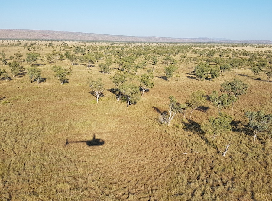 Panorama sobre la región de Kimberley
